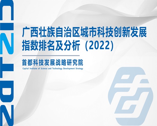 男人爆操美女嫩逼【成果发布】广西壮族自治区城市科技创新发展指数排名及分析（2022）